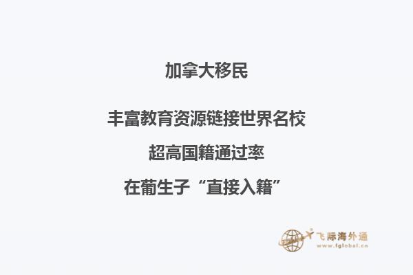 加拿大留學簽證拒簽率高的原因！加拿大留學生必讀！
