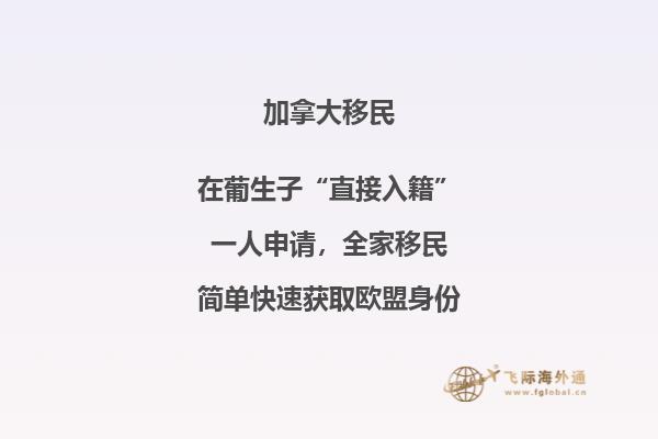 加拿大聯邦技術移民費用！與投資移民相比，竟然這要這么點！