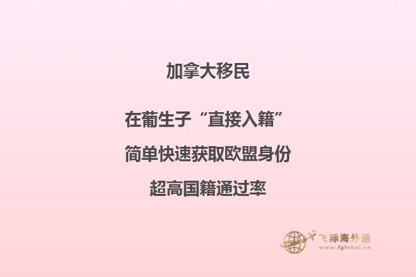 加拿大移民政策解讀，加拿大BC省雇主移民利好來襲!