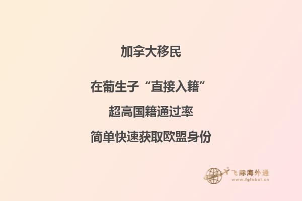 加拿大最受歡迎的專業，你選對專業了嗎？