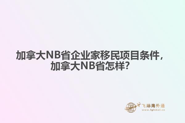 加拿大NB省企業家移民項目條件，加拿大NB省怎樣？