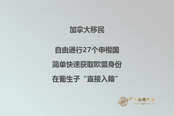 加拿大留學獎學金如何申請，有哪些可以申請的獎學金？