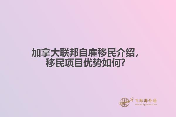 加拿大聯邦自雇移民介紹
