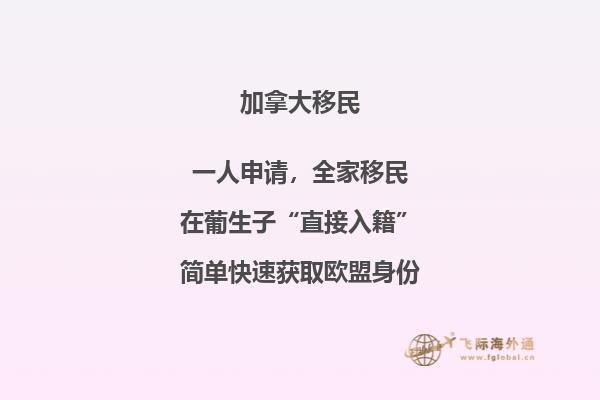 持有加拿大楓葉卡優勢