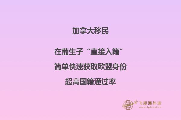 加拿大魁省投資移民需要多少錢，移民政策是什么？