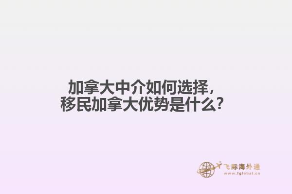 加拿大中介如何選擇，移民加拿大優勢是什么？