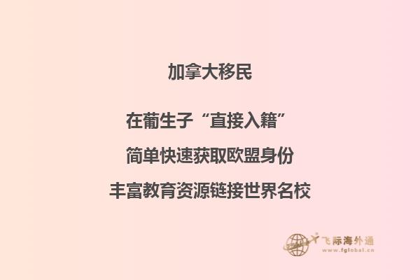 加拿大移民政策再傳利好，或新增“市提名”計劃！