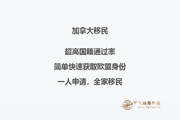 加拿大NB省企業家移民申請條件，優勢怎么樣？