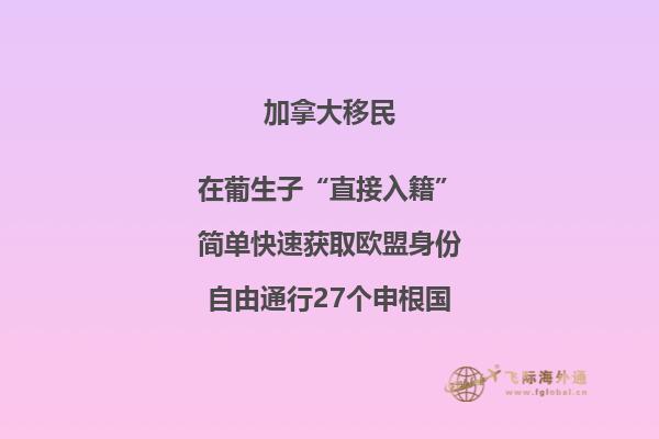 加拿大安省技術移民項目，哪種方式更適合你？