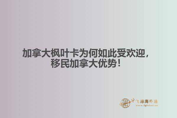 加拿大楓葉卡為何如此受歡迎，移民加拿大優勢！