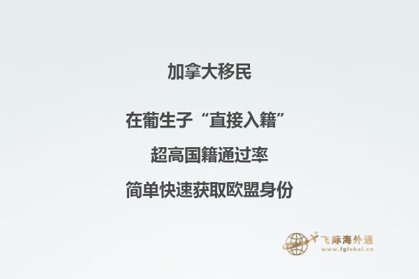 加拿大投資移民有幾種，你適合哪一種?