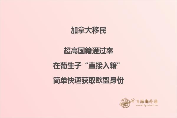 加拿大投資移民大盤點，你最中意哪個？