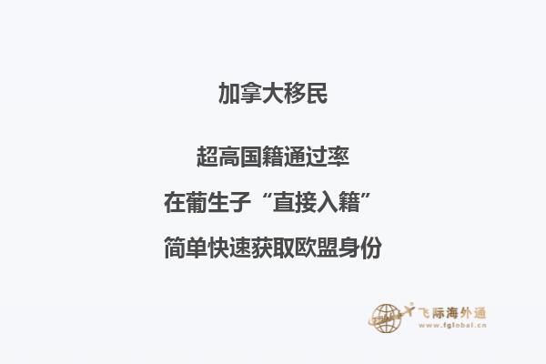 加拿大安省技術移民申請條件，流程復雜嗎？