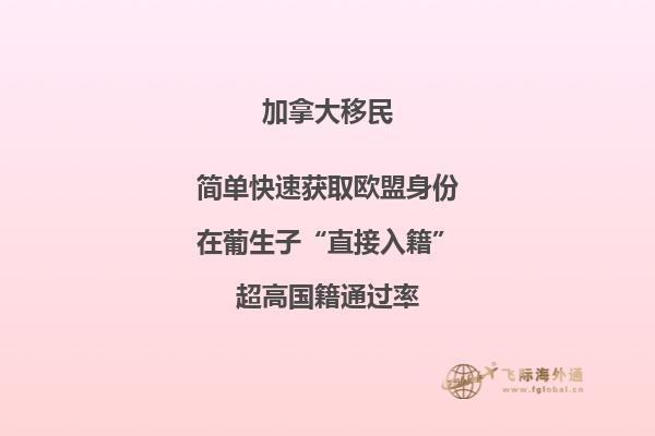 加拿大安省留學移民條件，流程怎么樣？