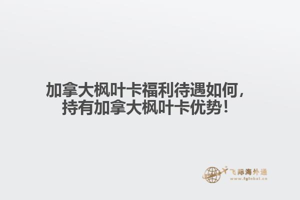 加拿大楓葉卡福利待遇如何，持有加拿大楓葉卡優勢！