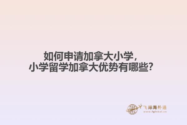 如何申請加拿大小學，小學留學加拿大優勢有哪些？