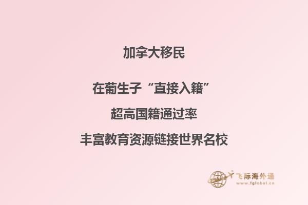 加拿大護照回中國要簽證嗎，為什么需要擔保人？