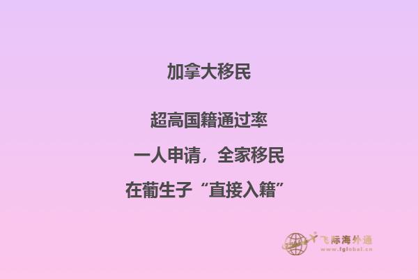 加拿大“市提名移民”即將上線，2020加拿大移民趨勢如何？
