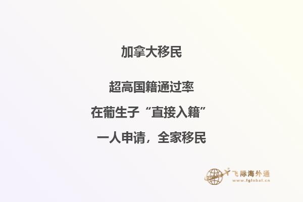 2020移民加拿大迎來利好，哪些移民方式最受歡迎？ 