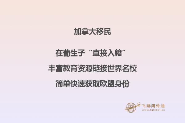 加拿大投資移民風險匯總，要避開哪些陷阱？ 