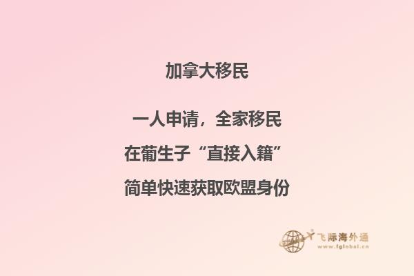 選擇溫哥華還是多倫多，移民加拿大華人更愛哪個？