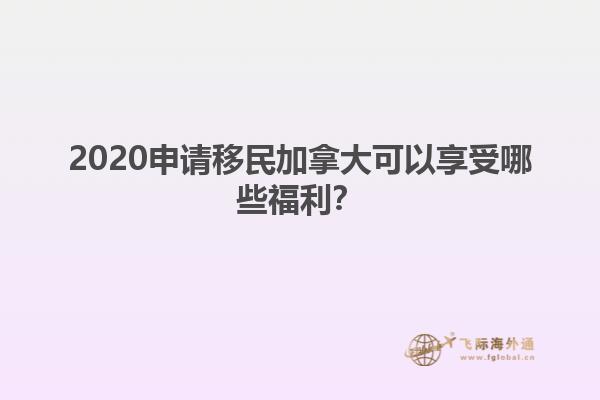 2020申請移民加拿大可以享受哪些福利？