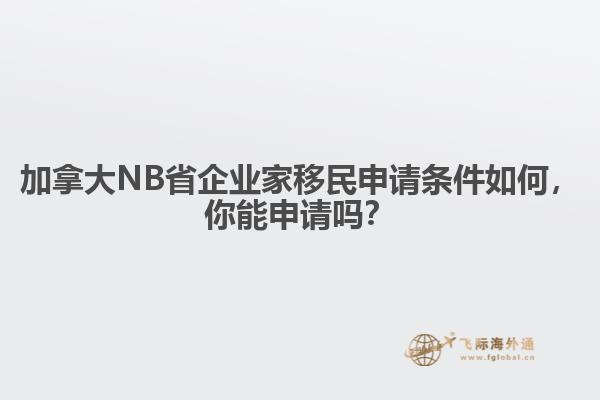 加拿大NB省企業家移民申請條件如何，你能申請嗎？