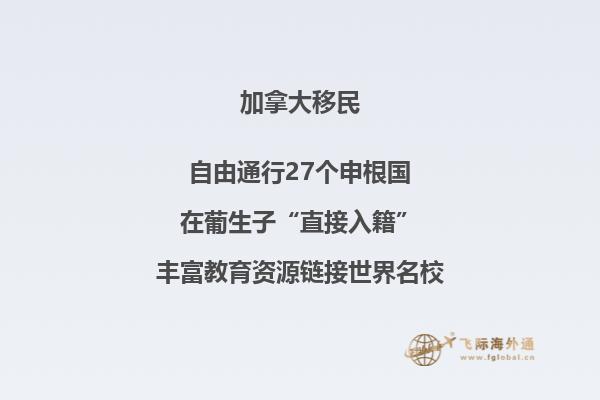 加拿大NB省企業家移民申請條件如何，你能申請嗎？