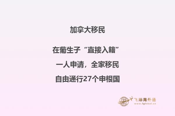 樹木環繞的建筑