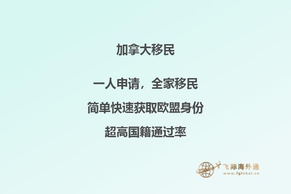 建筑城堡被樹林環繞