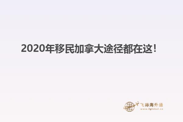 2020年移民加拿大途徑都在這！