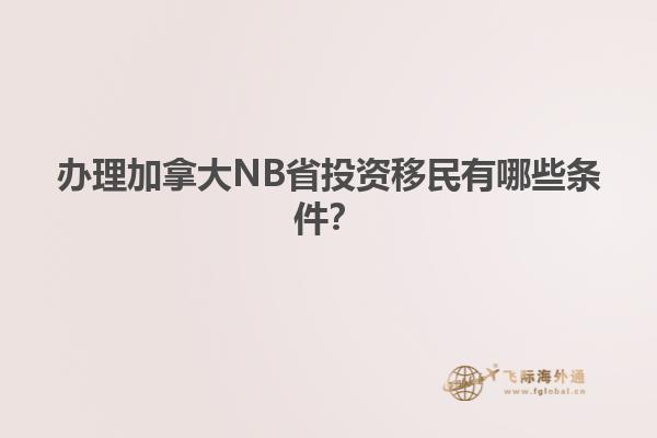辦理加拿大NB省投資移民有哪些條件？