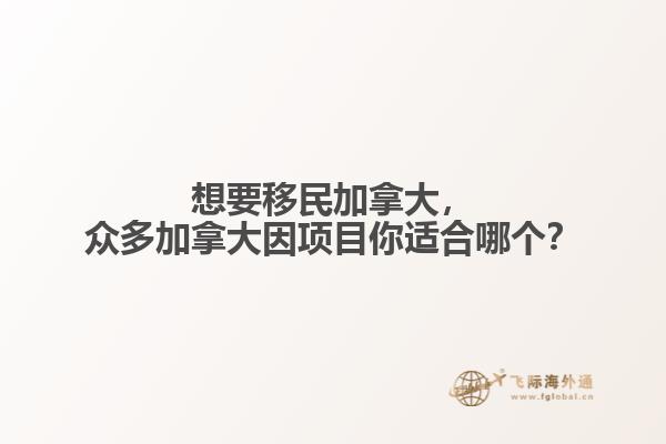 想要移民加拿大，眾多加拿大因項目你適合哪個？