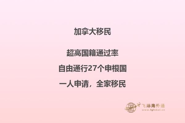 接到移民局背調電話怎么辦，如何輕松應對移民局電話調查