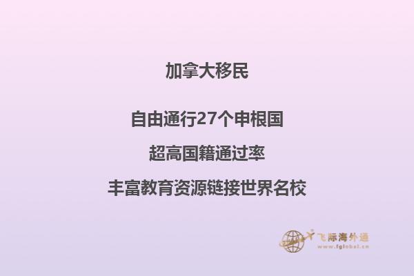 移民局背調電話注意事項，應對移民局背景調查方法