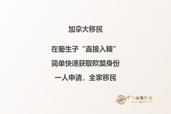 2022年加拿大NB省雇主擔保移民申請要求是什么？