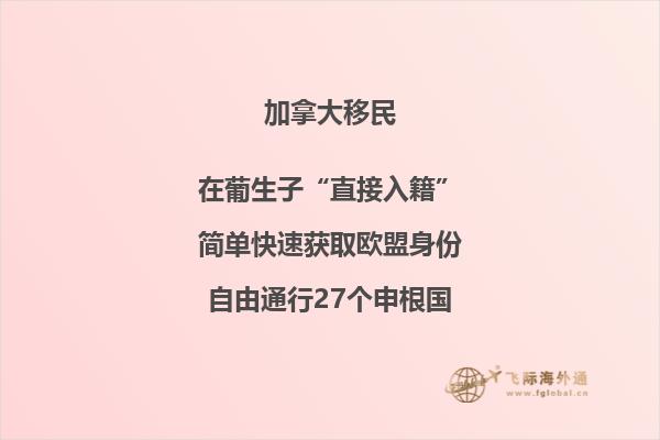 加拿大移民8成后悔，真實移民情況就是如此嗎