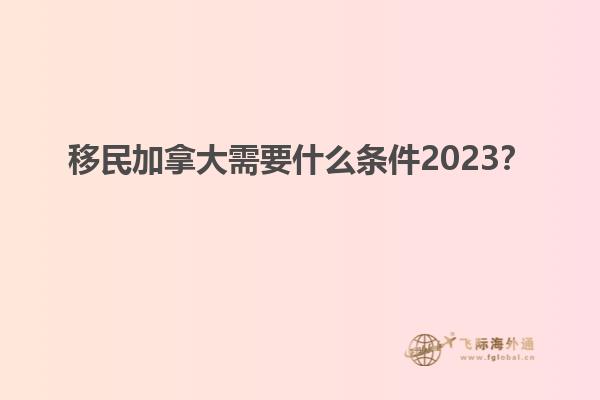 移民加拿大需要什么條件2023？