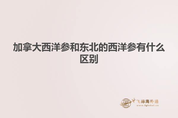 加拿大西洋參和東北的西洋參有什么區別