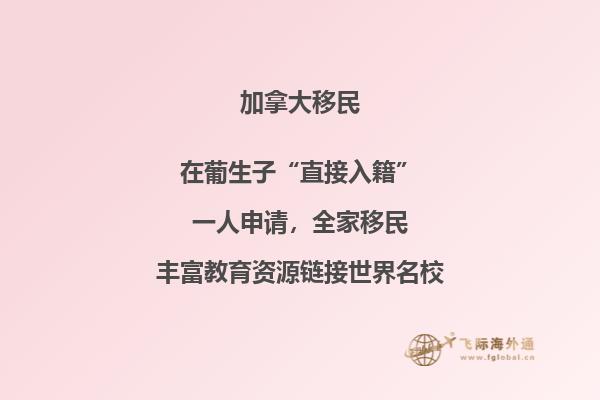 加拿大多倫多大學工程學院化學專業學習內容