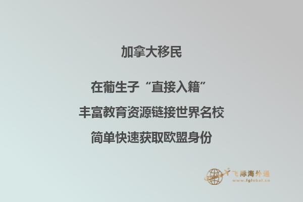加拿大移民官方網站上傳資料查詢不到