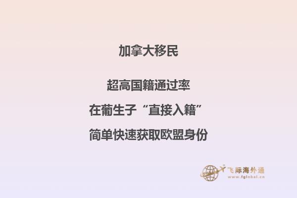 加拿大留學高中在國內讀什么課程