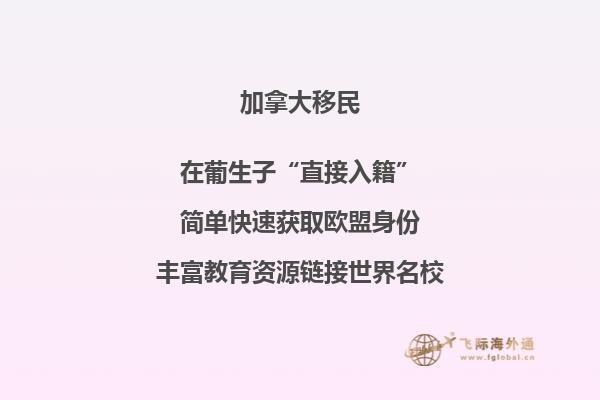 加拿大湖首大學相當于國內那些大學