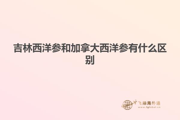 吉林西洋參和加拿大西洋參有什么區別