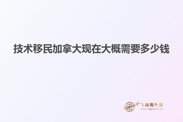 技術移民加拿大現在大概需要多少錢
