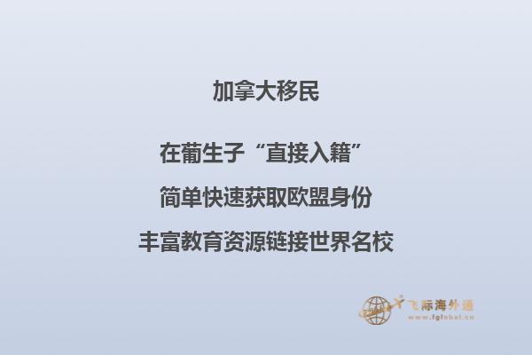 在加拿大大學畢業什么專業好找工作