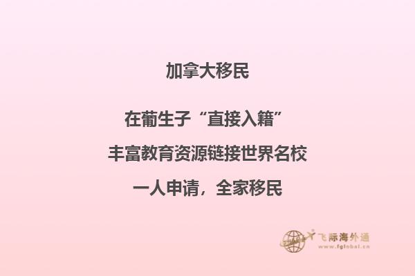 加拿大簽證申請中心網站教育和就業細節表