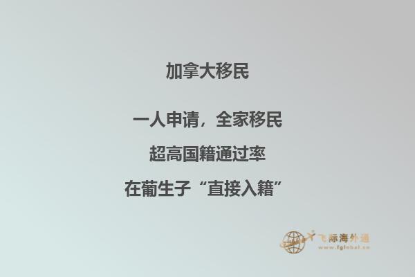 加拿大麥克馬斯特大學研究生有哪些專業