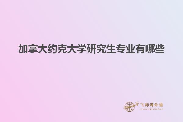 加拿大約克大學研究生專業有哪些