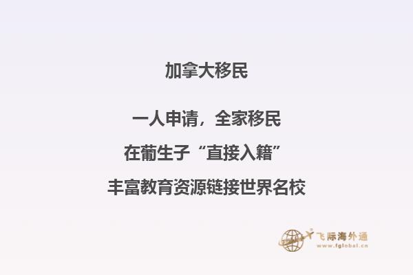 加拿大約克大學研究生專業有哪些